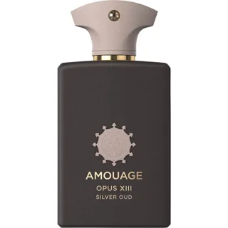 عطر ادکلن آمواج اوپوس سیزده سیلور عود