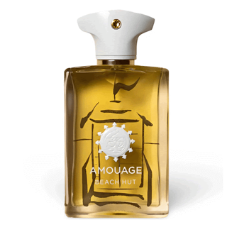 عطر ادکلن آمواج بیچ هات مردانه